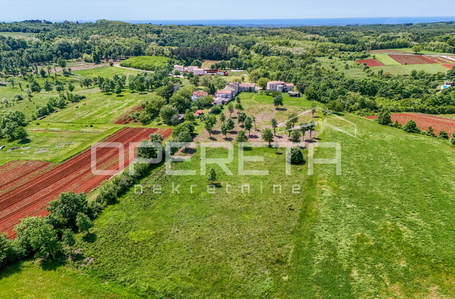 opereta_carousel_photo_3