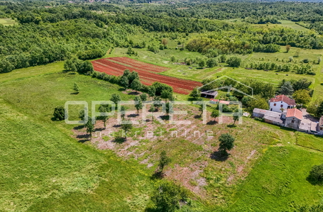 opereta_carousel_photo_4