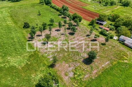 opereta_carousel_photo_6