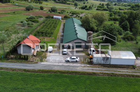 opereta_carousel_photo_4