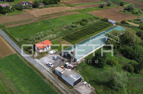 opereta_carousel_photo_5