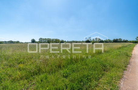 opereta_carousel_photo_2