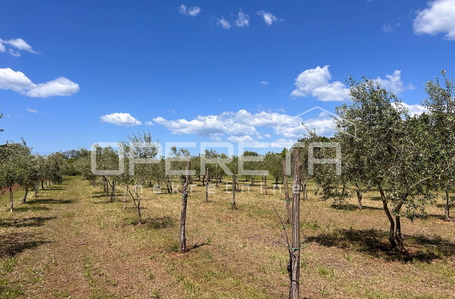 opereta_carousel_photo_2