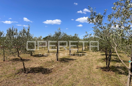 opereta_carousel_photo_5