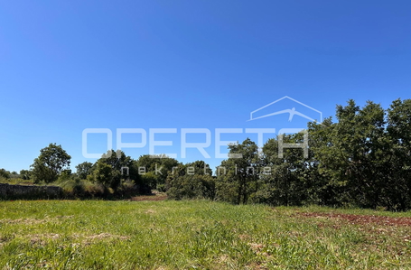 opereta_carousel_photo_3