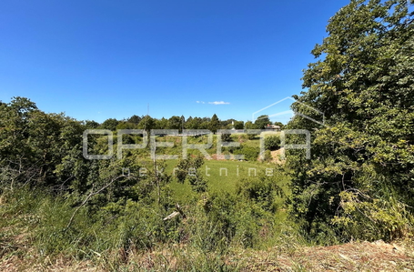 opereta_carousel_photo_7