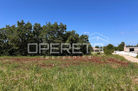 opereta_carousel_photo_9