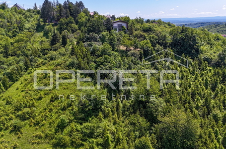 opereta_carousel_photo_5