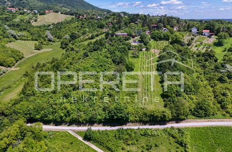 opereta_carousel_photo_6