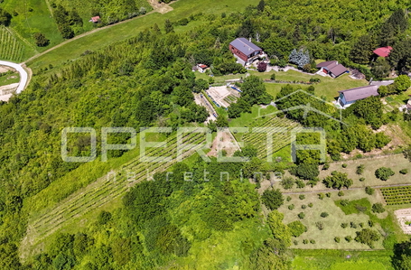 opereta_carousel_photo_2