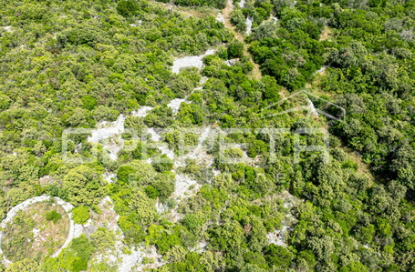 opereta_carousel_photo_3