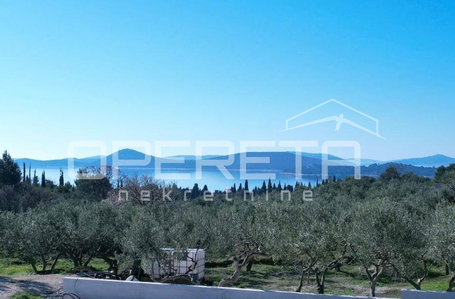 opereta_carousel_photo_8