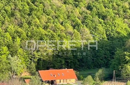 opereta_carousel_photo_3