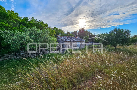 opereta_carousel_photo_6