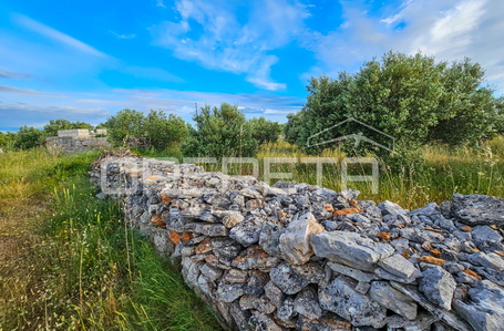 opereta_carousel_photo_8