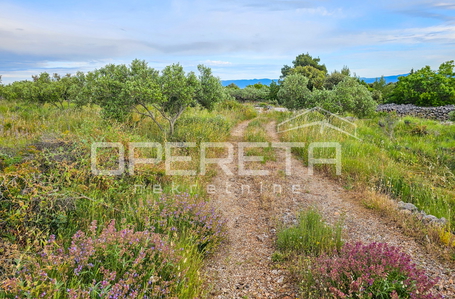 opereta_carousel_photo_4