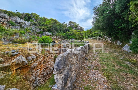 opereta_carousel_photo_4