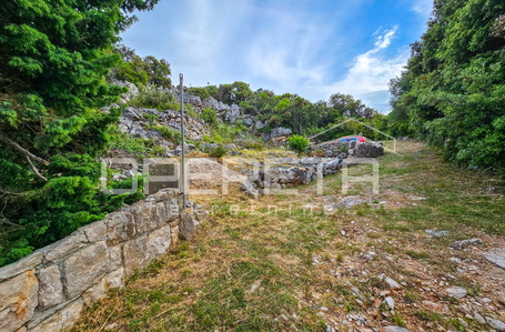 opereta_carousel_photo_5