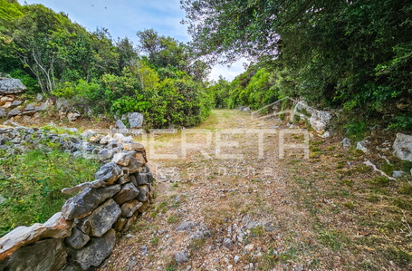 opereta_carousel_photo_6