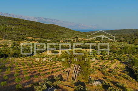 opereta_carousel_photo_5