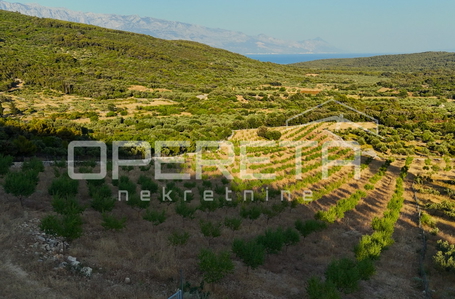 opereta_carousel_photo_6