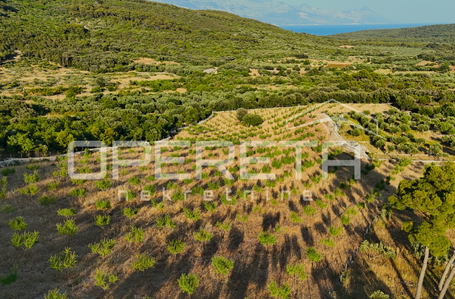 opereta_carousel_photo_7