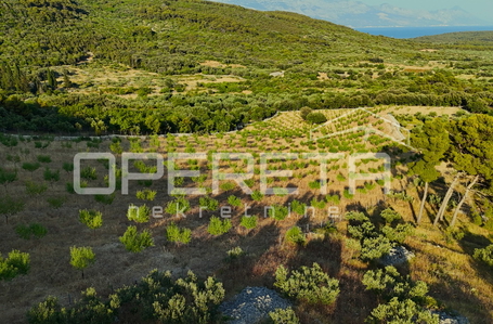 opereta_carousel_photo_4