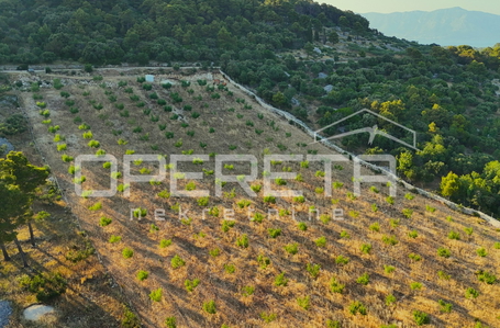 opereta_carousel_photo_2