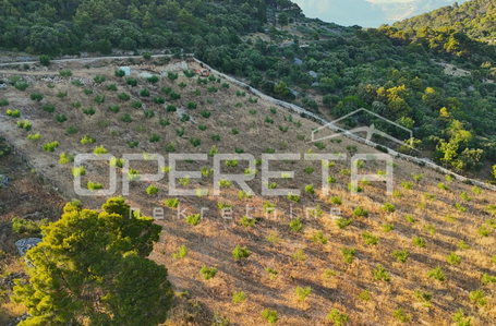 opereta_carousel_photo_3