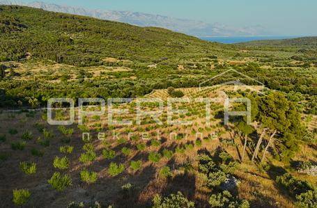 opereta_carousel_photo_8