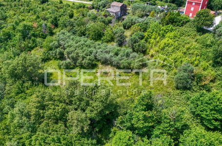 opereta_carousel_photo_4