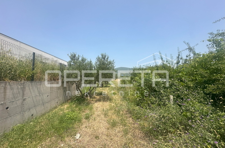 opereta_carousel_photo_9