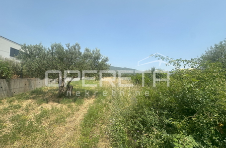 opereta_carousel_photo_8