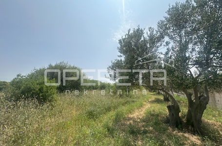 opereta_carousel_photo_2