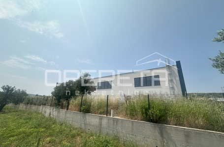 opereta_carousel_photo_7