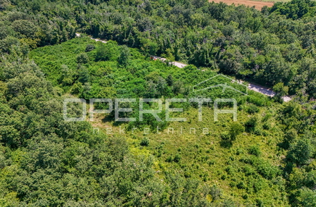 opereta_carousel_photo_4