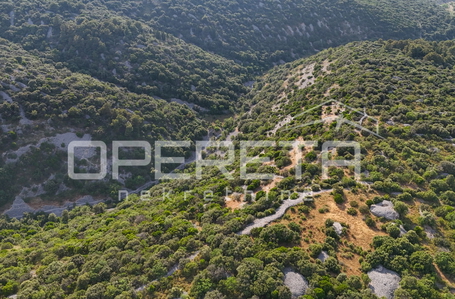 opereta_carousel_photo_8