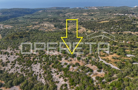 opereta_carousel_photo_4