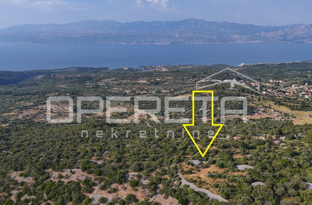 opereta_carousel_photo_5