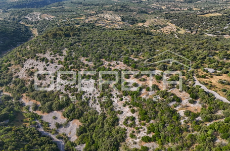 opereta_carousel_photo_7