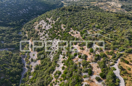 opereta_carousel_photo_9