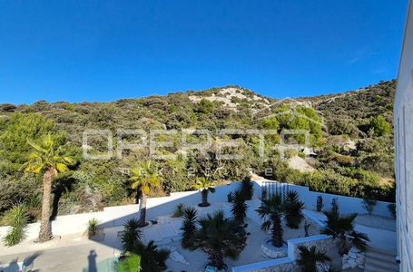 opereta_carousel_photo_8