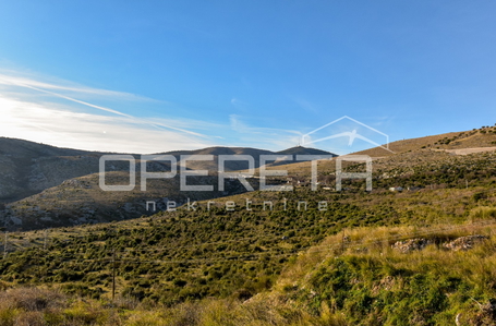 opereta_carousel_photo_6