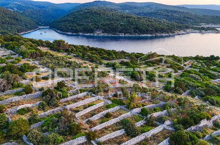 opereta_carousel_photo_2