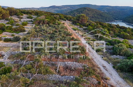 opereta_carousel_photo_3