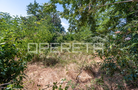 opereta_carousel_photo_9