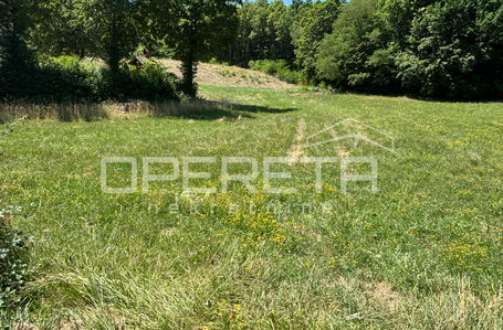 opereta_carousel_photo_5