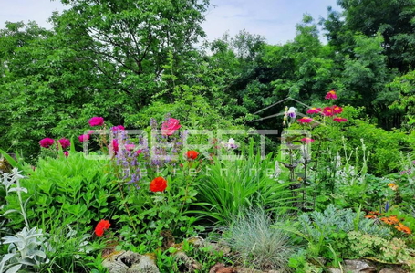 opereta_carousel_photo_8