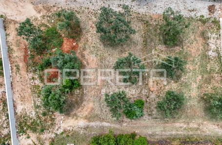 opereta_carousel_photo_4