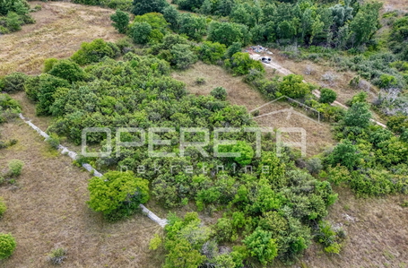 opereta_carousel_photo_4